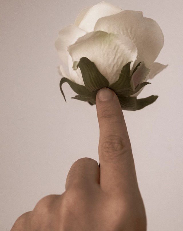 La Mano y la flor
La fotografía fue realizada durante el año 2017
@andanafoto @selfportraits_on_fire