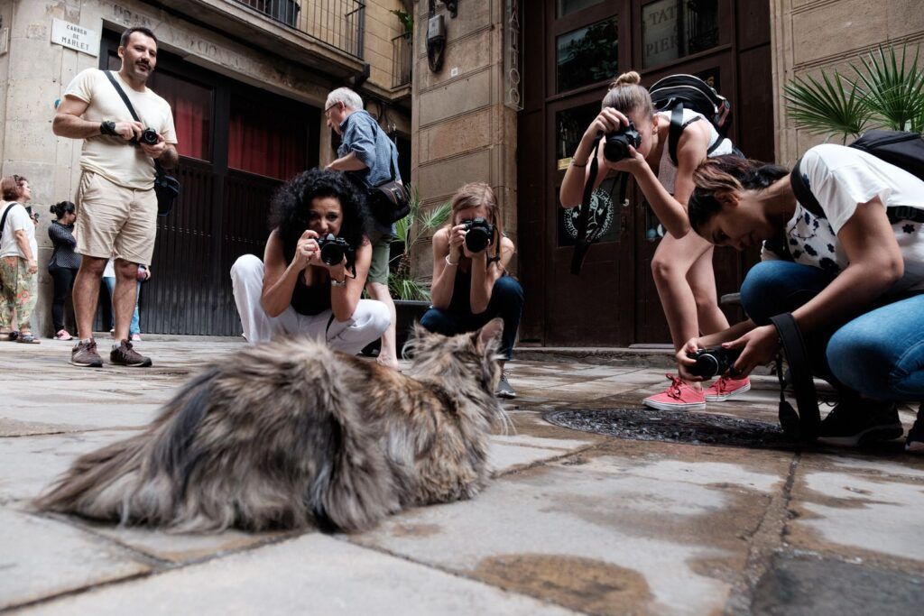Grupo de fotógrafos disparando en una calle de Barcelona
