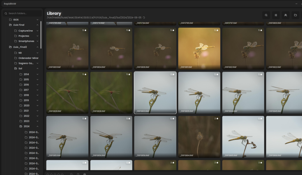 Biblioteca de fotos RAW abierta en RapidRAW sobre Ubuntu