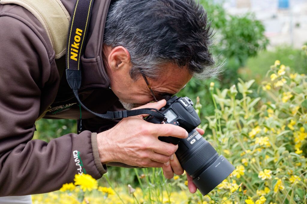 Fotógrafo disparando con una cámara Nikon entre flores amarillas