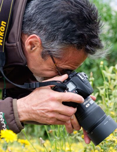 Fotógrafo disparando con una cámara Nikon entre flores amarillas