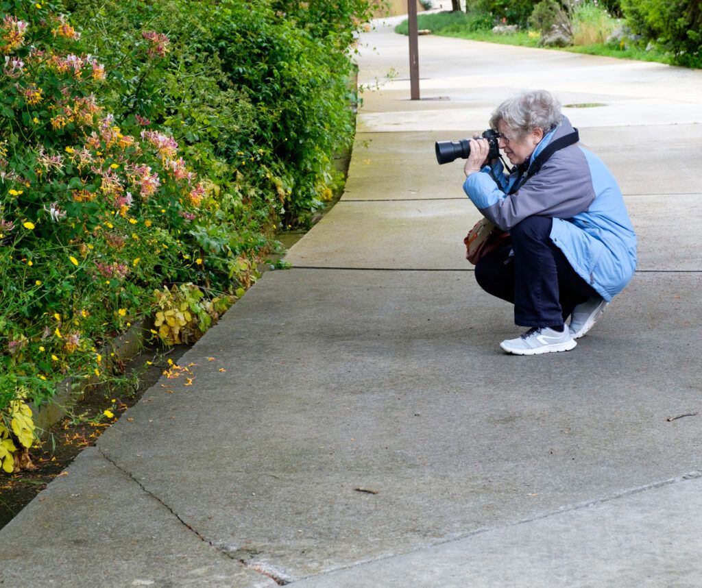 Fotógrafo agachado disparando junto a unos setos en la calle