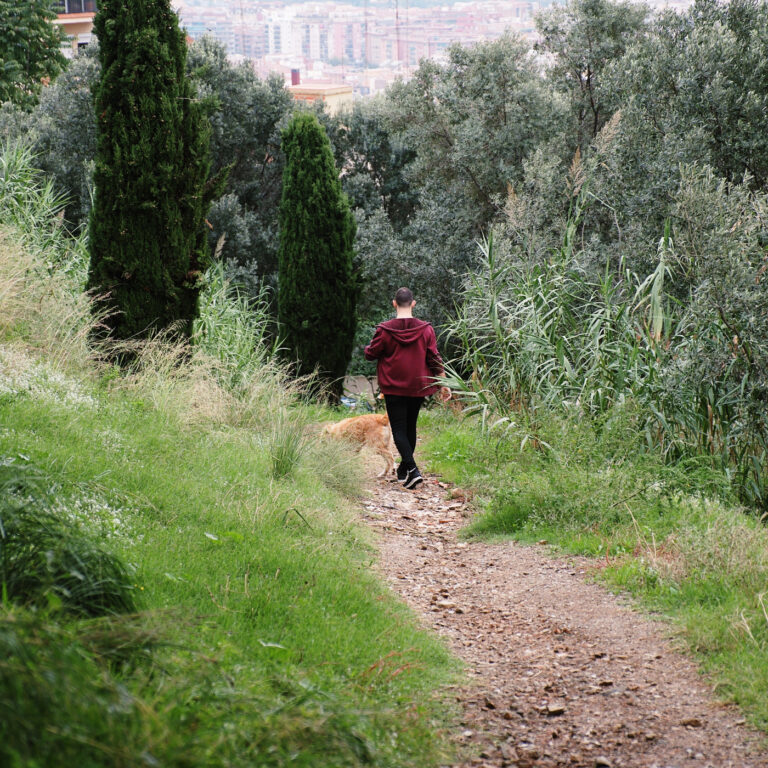 Paseando en la montaña