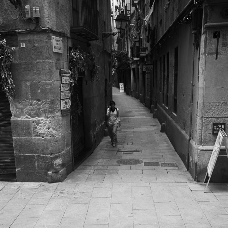 Paseando