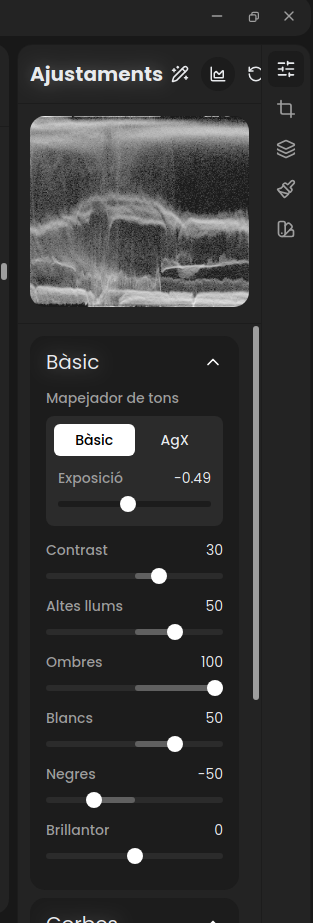 Panel de ajustes básicos de RapidRAW: exposición, contraste, altas luces y sombras